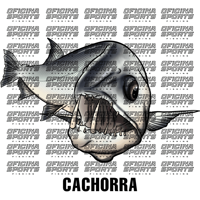 CACHORRA.png