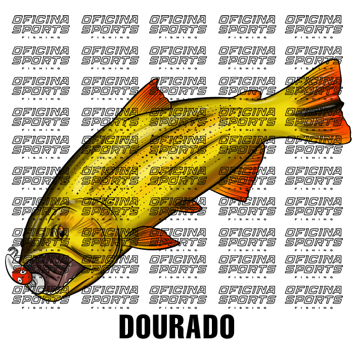 DOURADO-2.png