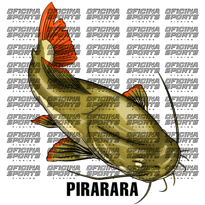 PIRARARA-2.png