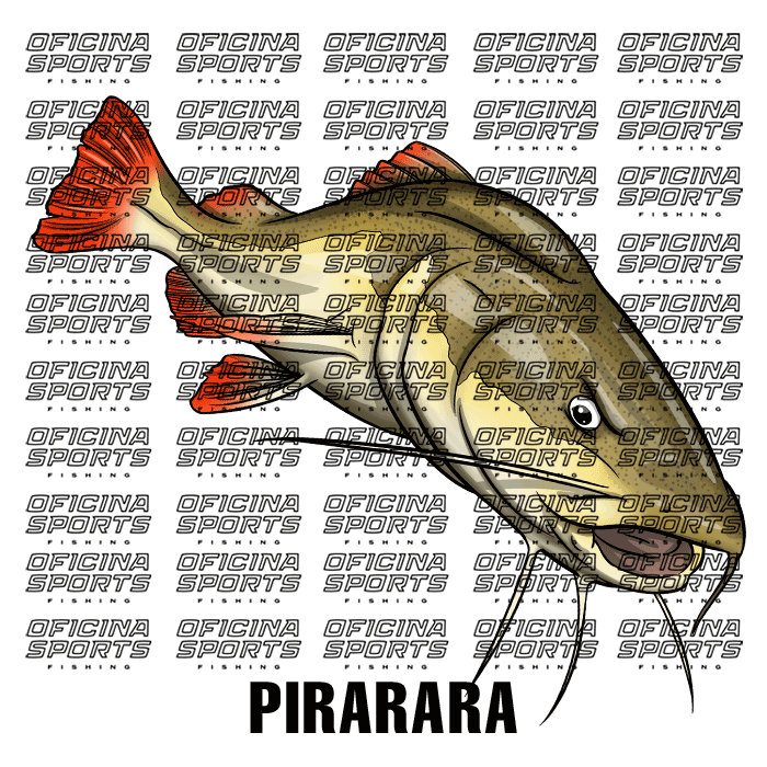 PIRARARA.png