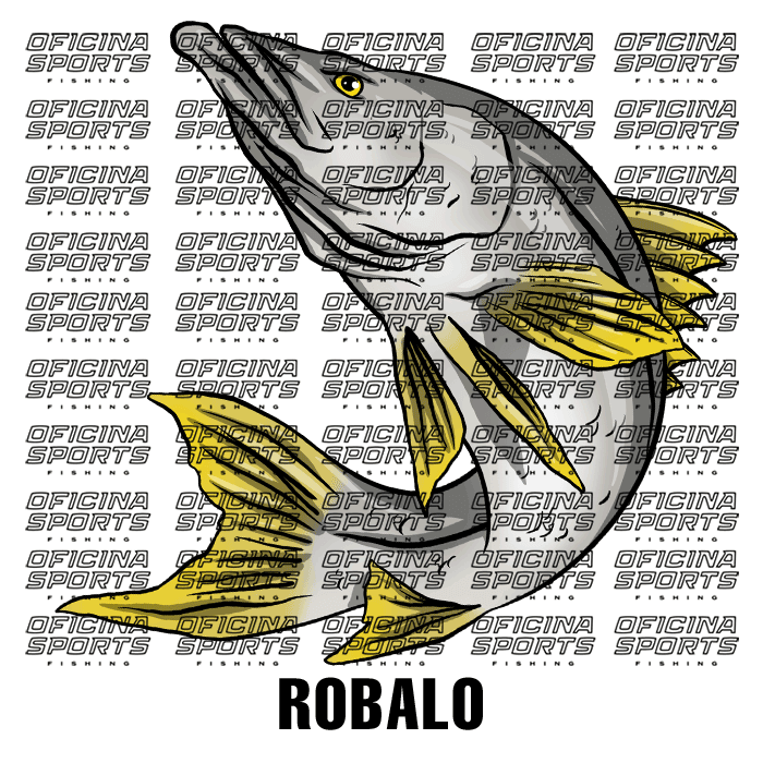 ROBALO-2.png