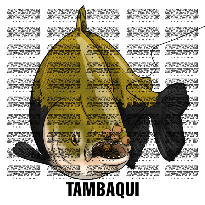TAMBAQUI-2.png