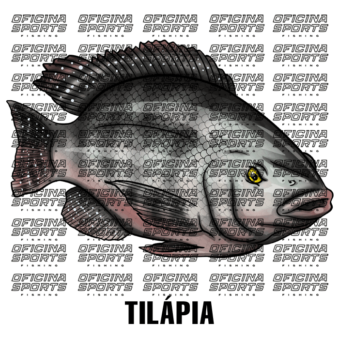 TILAPIA.png